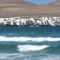 LANZAROTE PACK SURF PRIVADO O SMALL GROUP