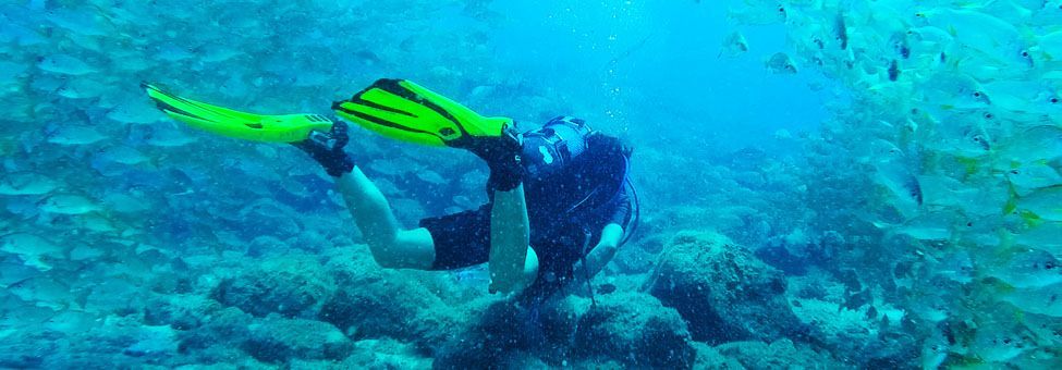 BUCEO Y SNORKEL EN TENERIFE