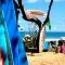 Cabarete Surf Camp Group Departure