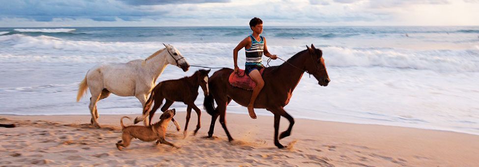 HORSE RIDING IN MADERAS