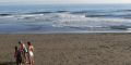 GRAN CANARIA SURF CAMP PACK