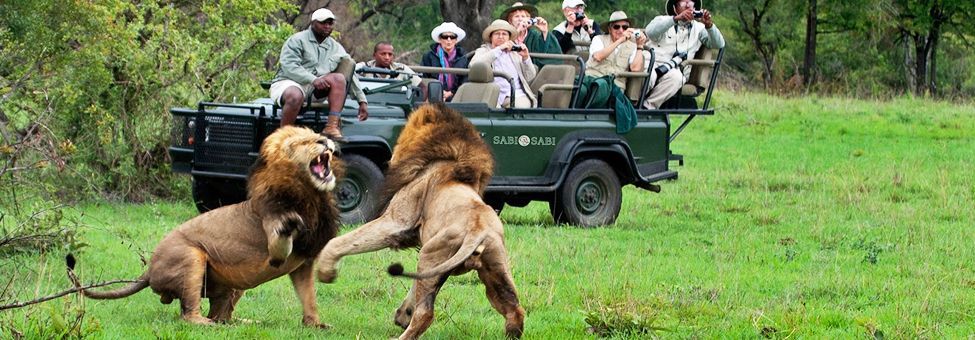 SAFARI EN SUDÁFRICA