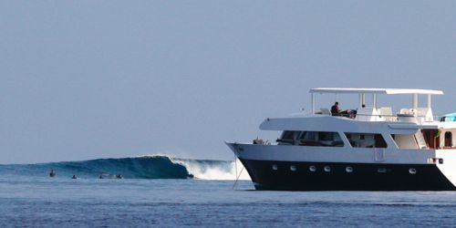 COBIA BOAT - SEMI LUXURY BOAT