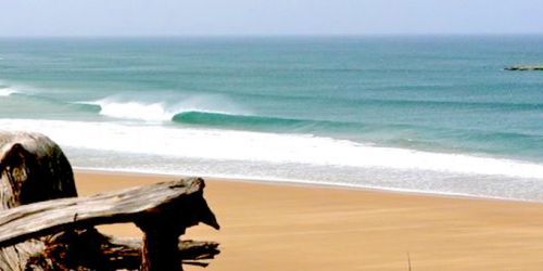 SURFEAR EN ALGARVE